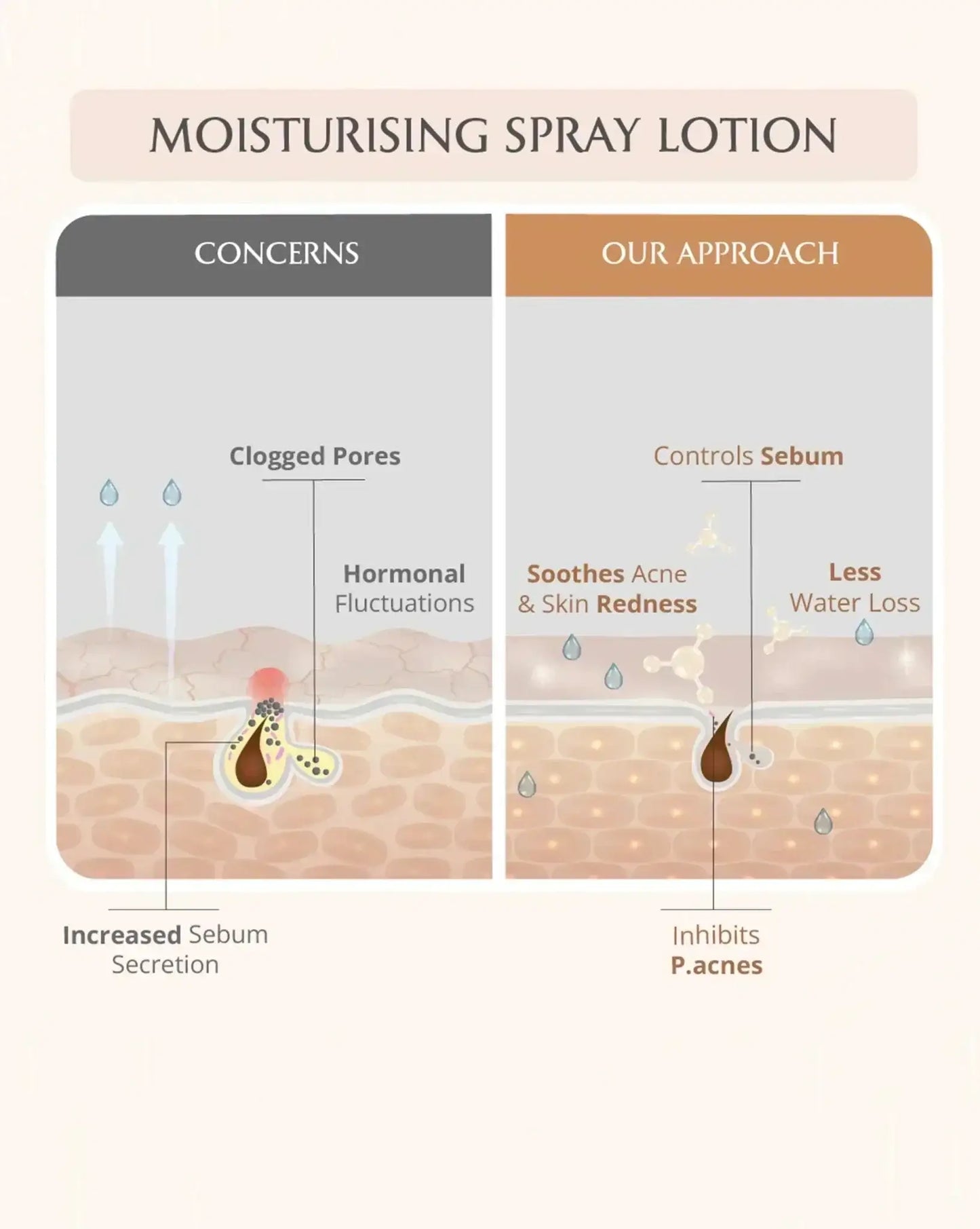 AreoVeda Acne Care Ritual