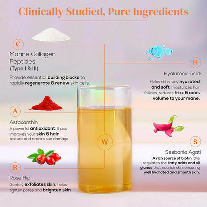 Wellbeing Nutrition Glow Korean Marine & Beauty Collagen Combo: Tropical Bliss & Mango Peach Flavor