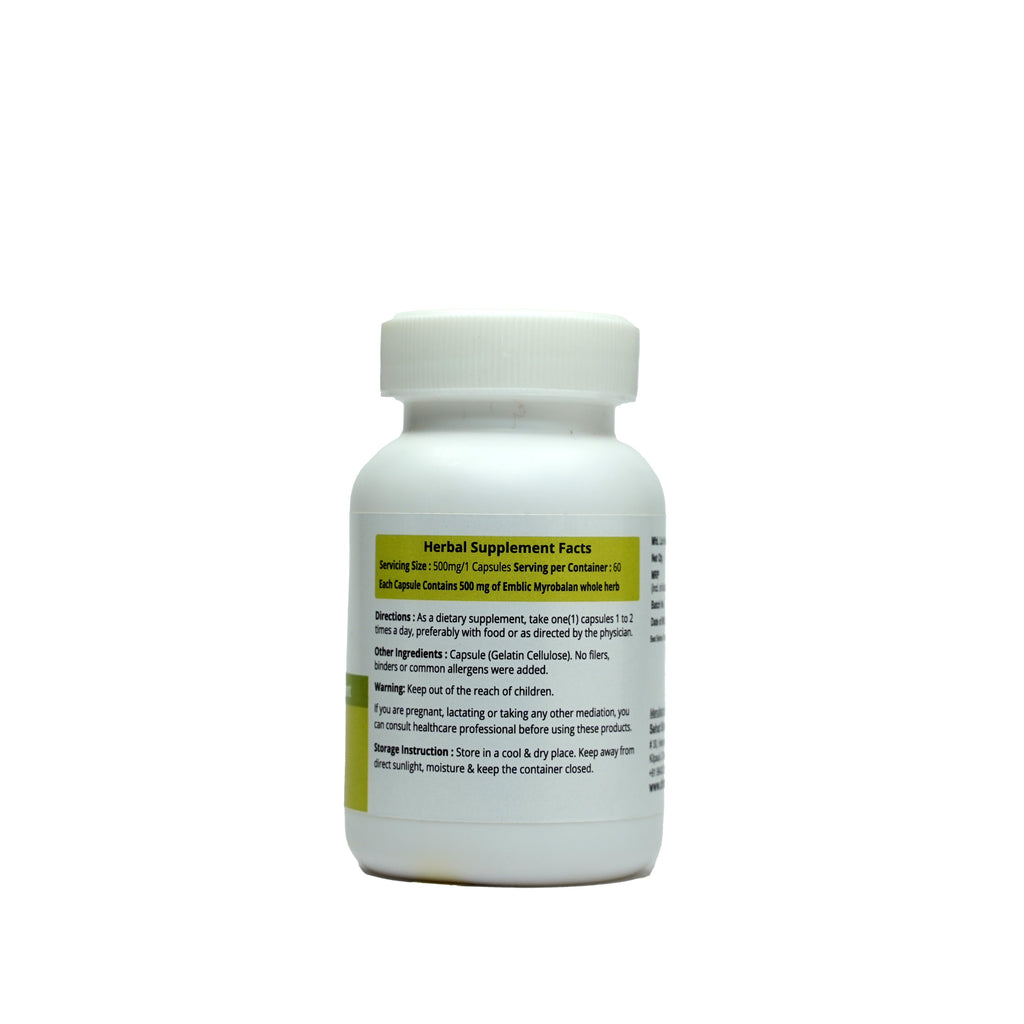 Dr. Talat's Amla - Natural Vitamin-C Supplement - 60 caps