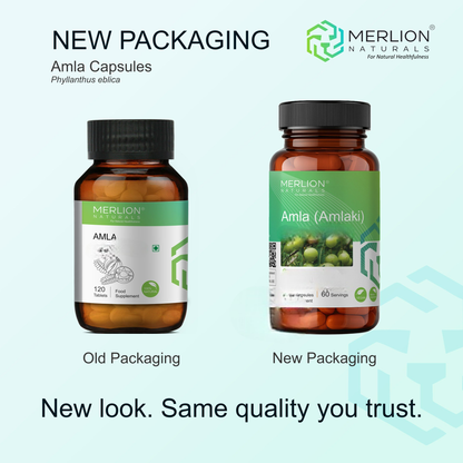 Merlion Naturals Amla 600mg Capsules
