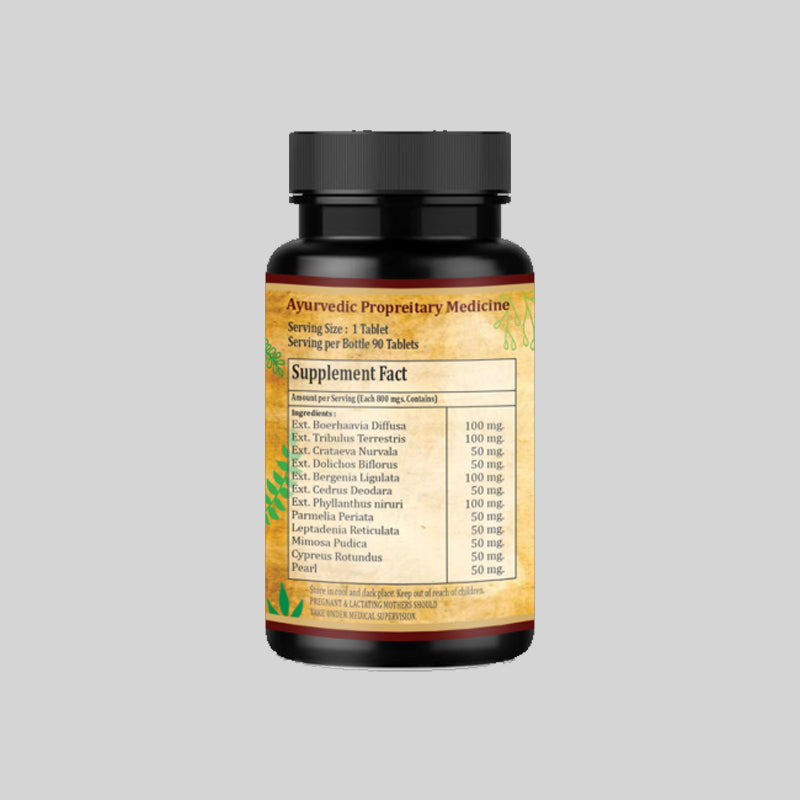 Ayurveda Yogashram Remedies Az-Nephro Kidney & UTI Care Tablet - 90 Tabs