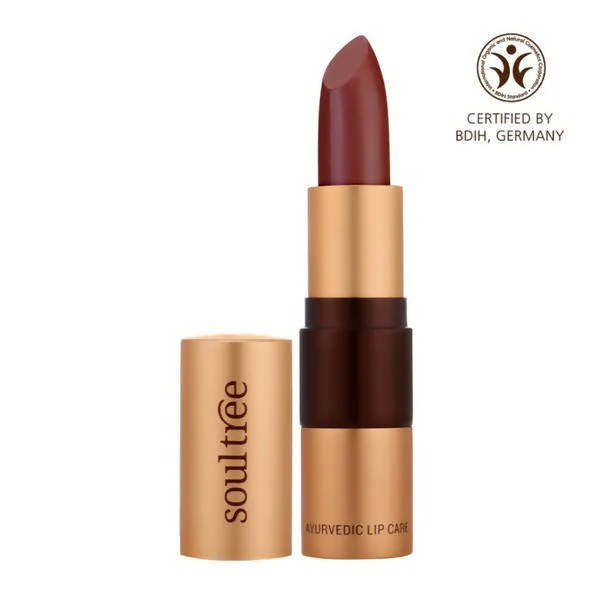 Soultree Ayurvedic Lipstick Java Brown 810 - 4 gms