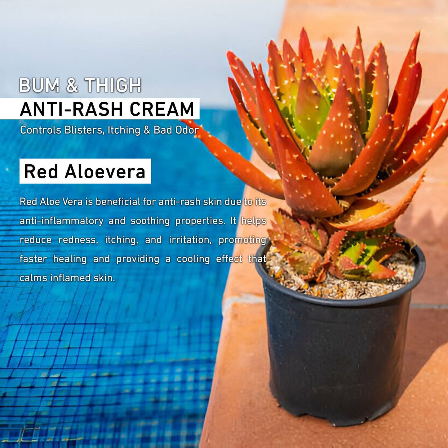 SANCTUS Bum & Thigh Anti-Rash Cream