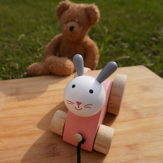 Matoyi Wobbly Doll & Pink Rabbit Pull Along & Maraca Rattle For Kids