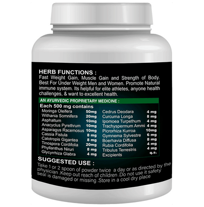 Sabates Techno Mass Powder