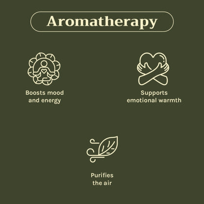 Tattvalogy Cinnamon Bark Essential Oil - Anti - Acne, Reduces Hair Fall, Has a nice spicy aroma