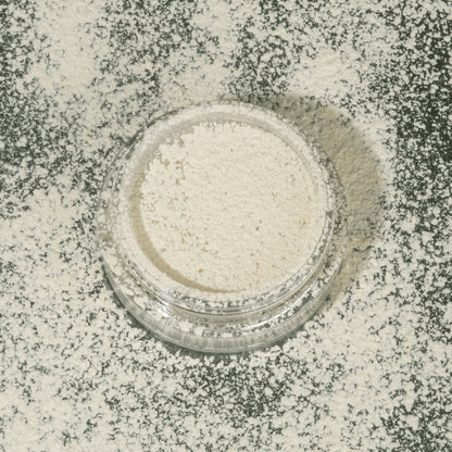 PAC Studio Translucent Powder (Mini) - 02