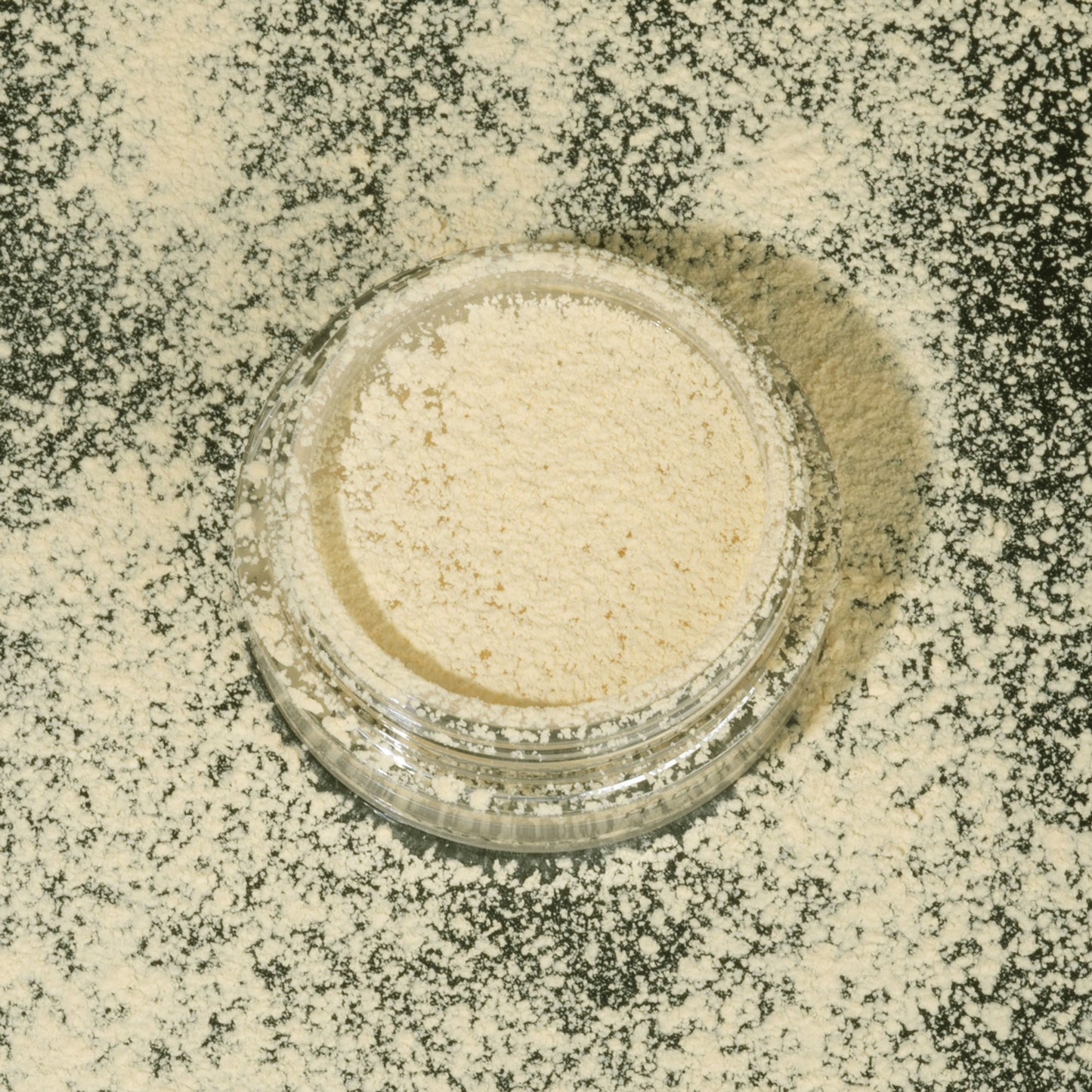 PAC Studio Translucent Powder (Mini) - 04
