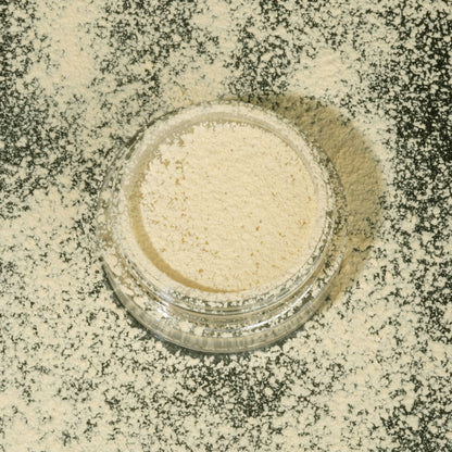 PAC Studio Translucent Powder (Mini) - 04