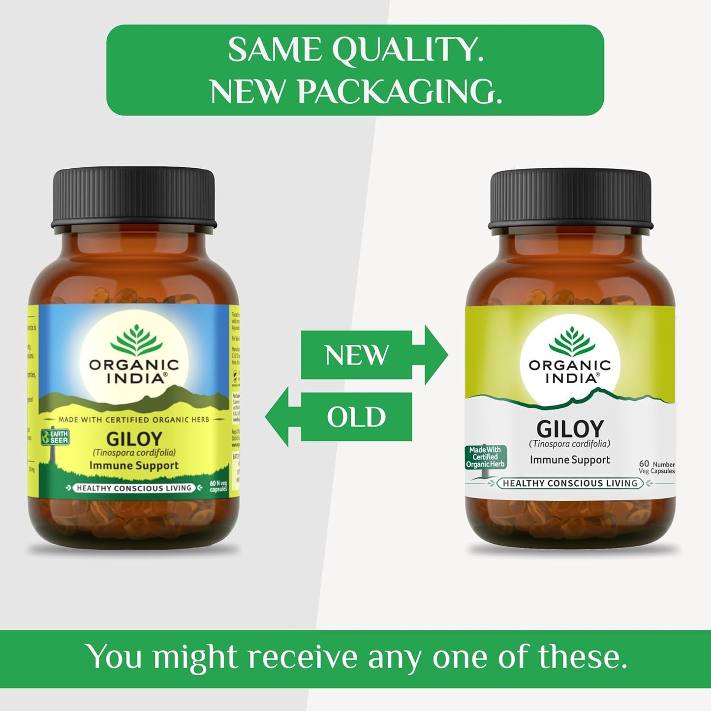 Organic India Giloy Capsules