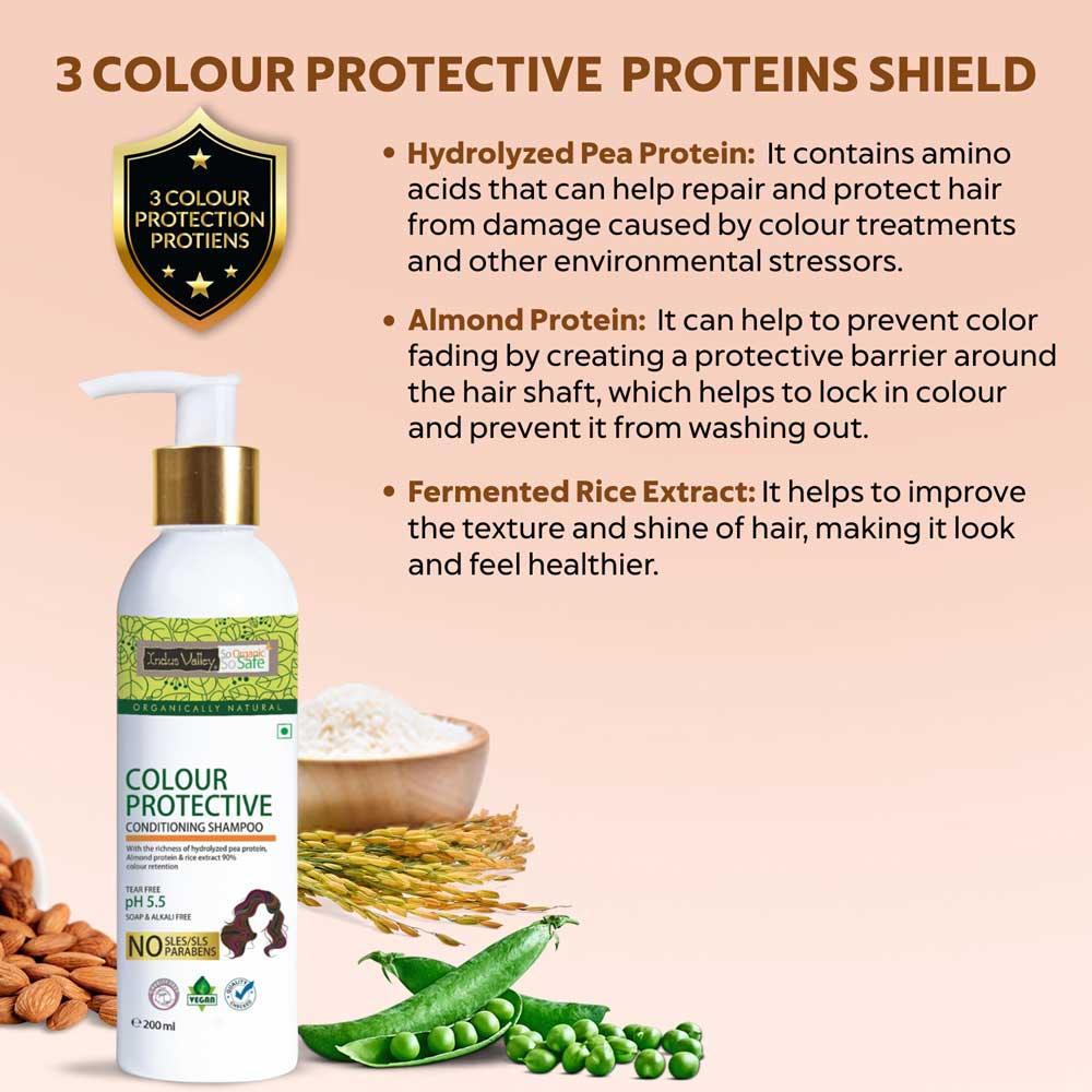 Indus Valley Colour Protective Shampoo With Conditioner
