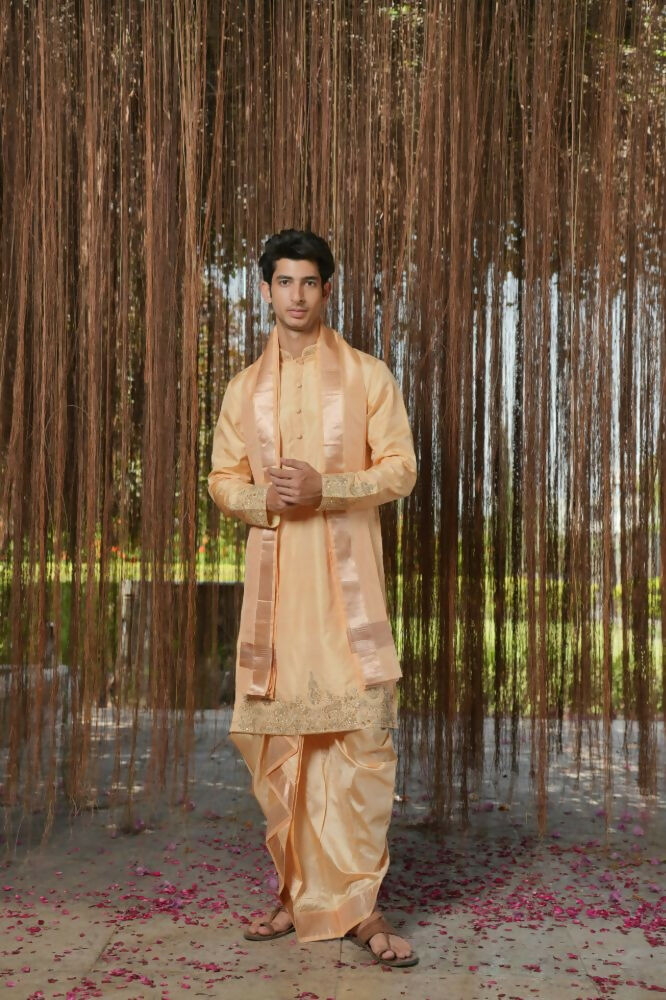 Tan Kanjivaram Hand Embroidered Pattu Set by Hilo Design