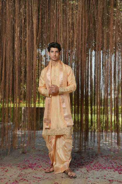 Tan Kanjivaram Hand Embroidered Pattu Set by Hilo Design