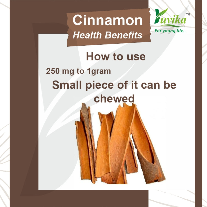 Yuvika Dalchini Sticks Sri Lankan Cylone Cinnamon Quills