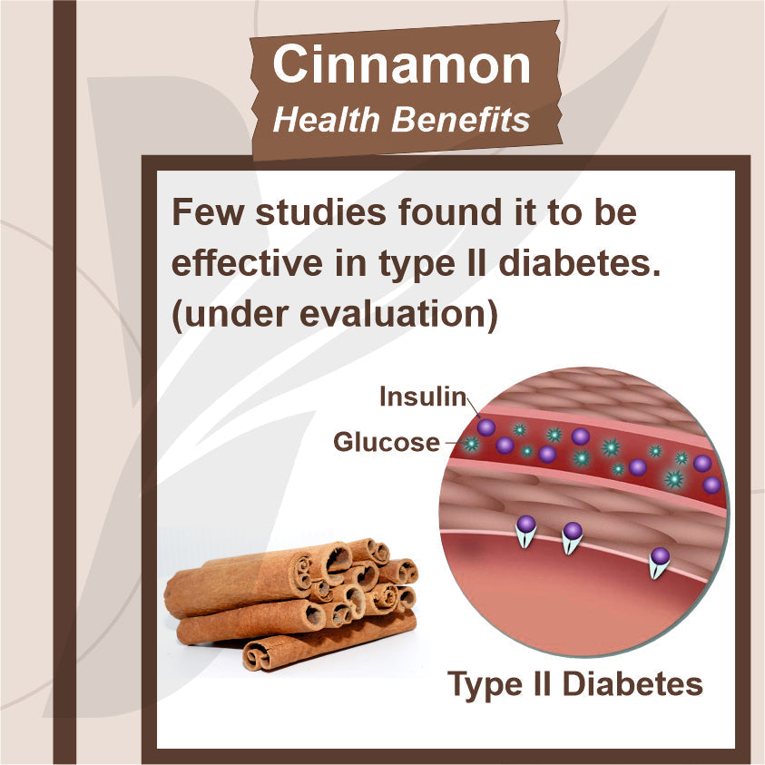 Yuvika Dalchini Sticks Sri Lankan Cylone Cinnamon Quills
