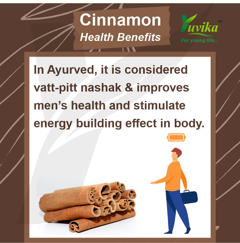 Yuvika Dalchini Sticks Sri Lankan Cylone Cinnamon Quills