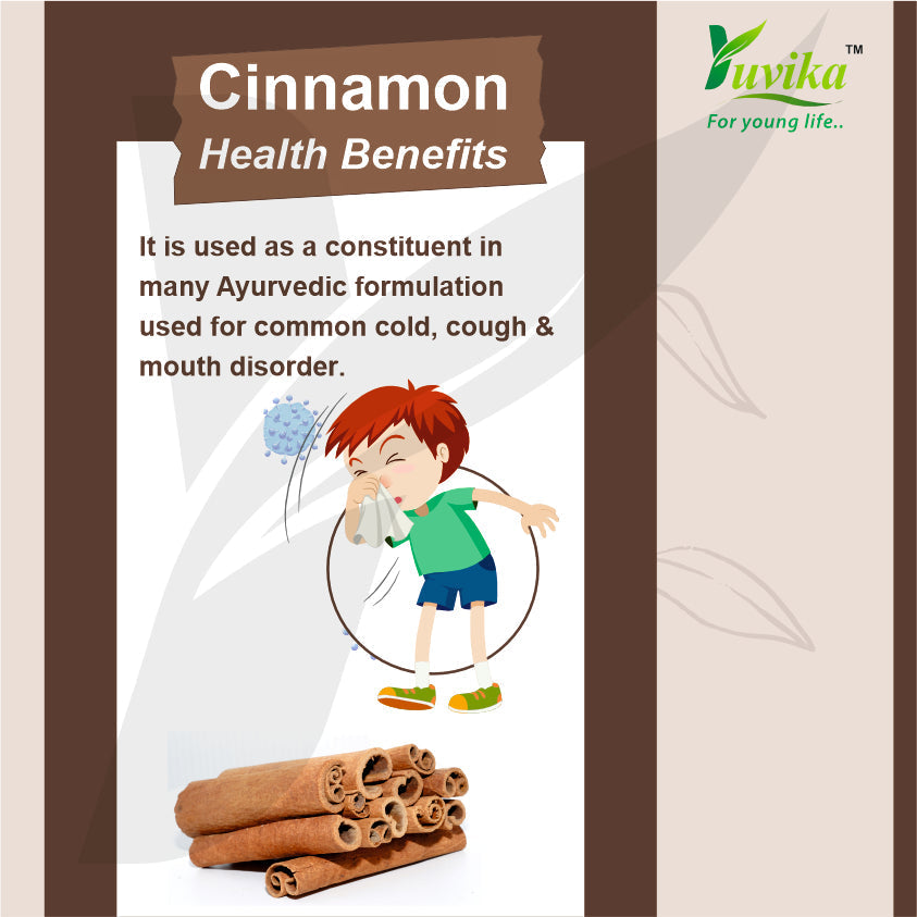 Yuvika Dalchini Sticks Sri Lankan Cylone Cinnamon Quills