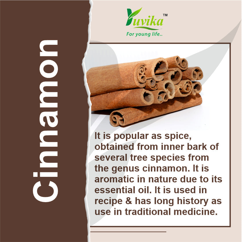Yuvika Dalchini Sticks Sri Lankan Cylone Cinnamon Quills