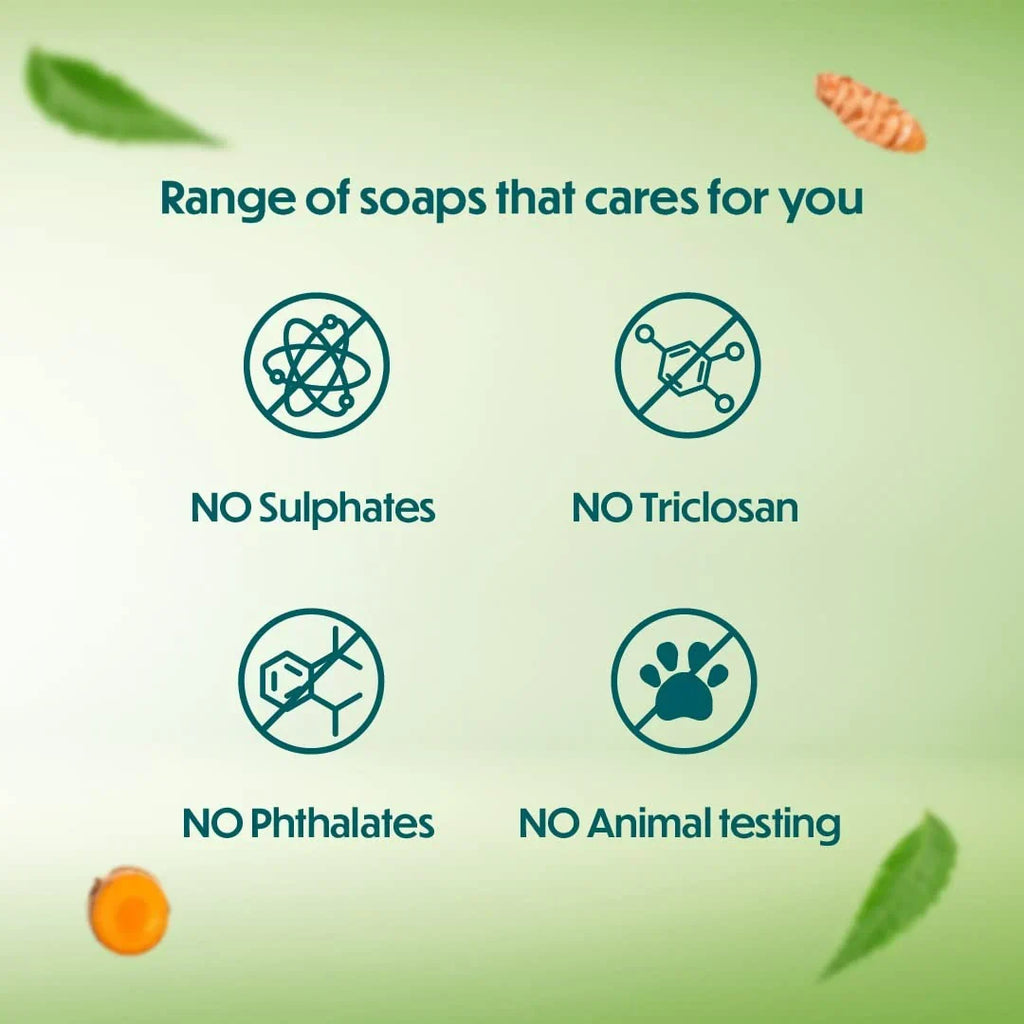 Himalaya Herbals Neem and Turmeric Soap -75 gm - Pack of 1