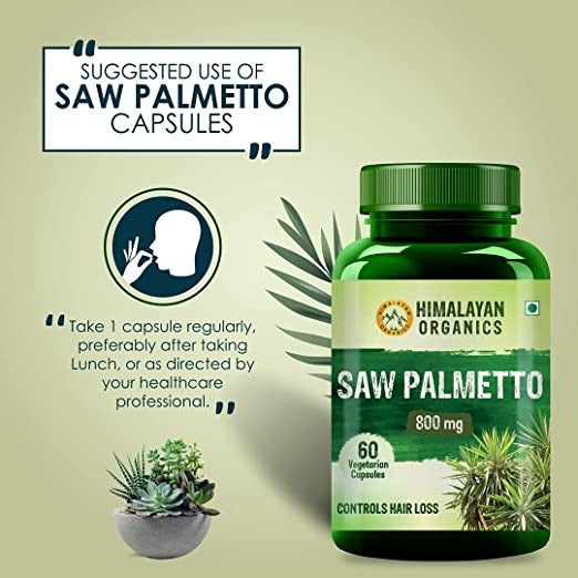 Himalayan Organics Saw Palmetto 800 mg Vegetarian - 60 tabs