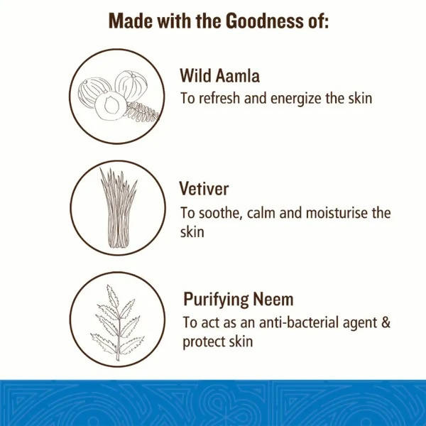 Soultree Hair & Body Wash - Aamla & Vetiver With Purifying Neem - 250 ml