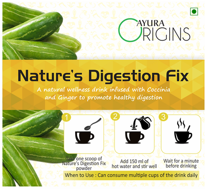 Ayura Origins Nature's Digestion Fix Powder