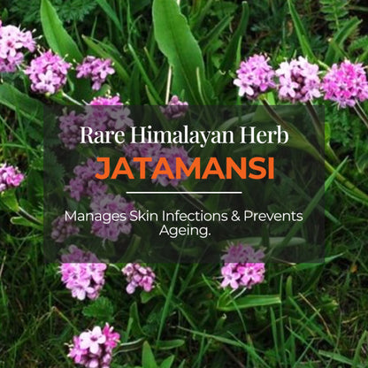JiViSa Tarang Alive Invigorating Gel Body Cleanser