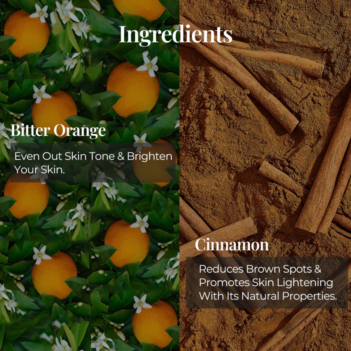 JiViSa Tarang Alive Invigorating Gel Body Cleanser