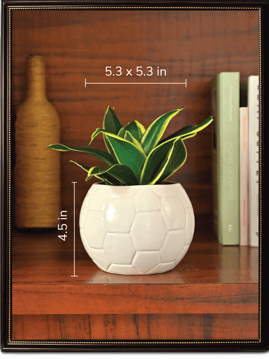 Light green Football Ceramic Pot