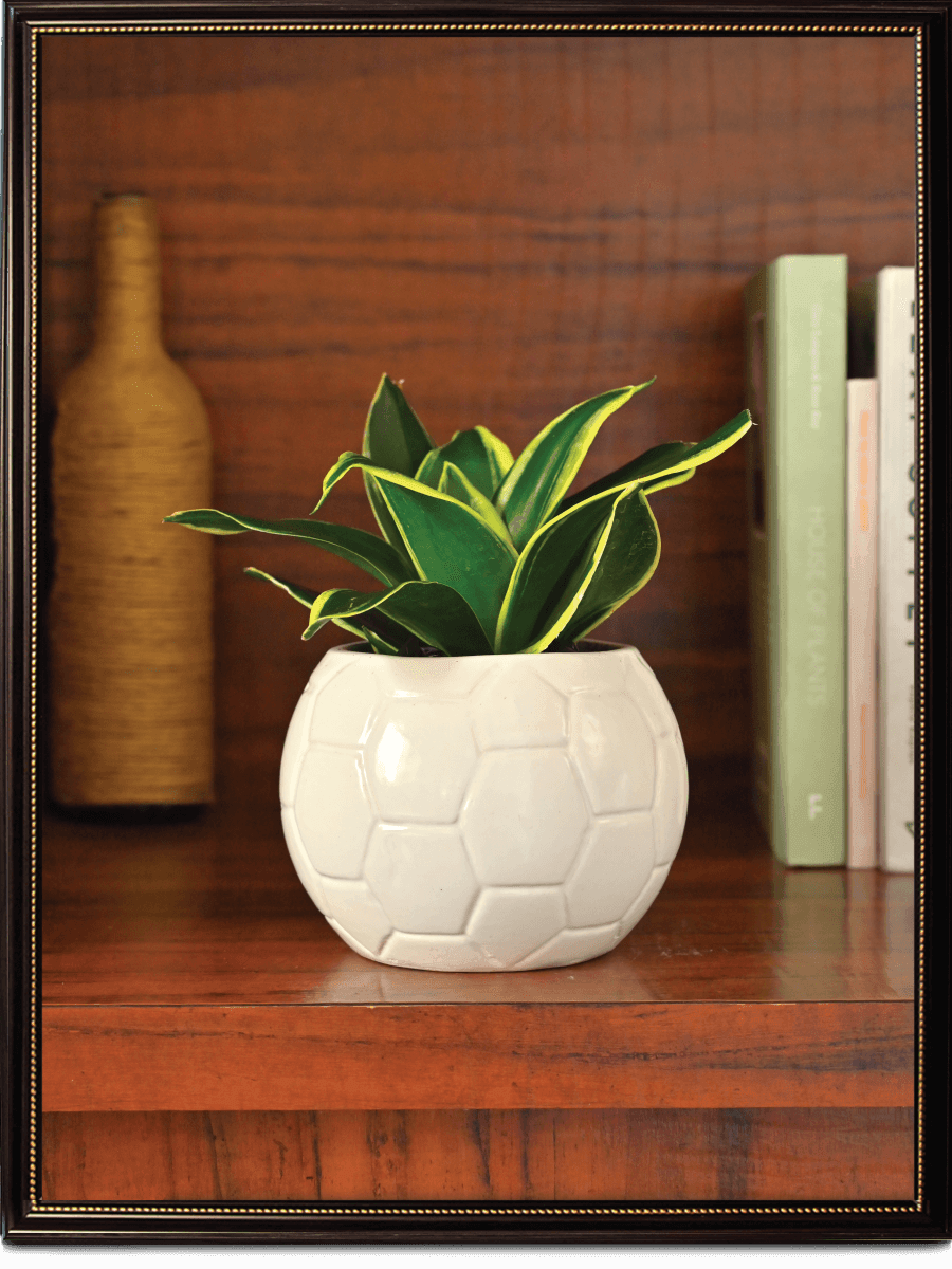Light green Football Ceramic Pot