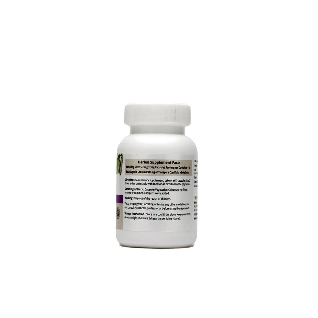 Dr. Talat's Gilo - Immune Booster - 60 Capsules