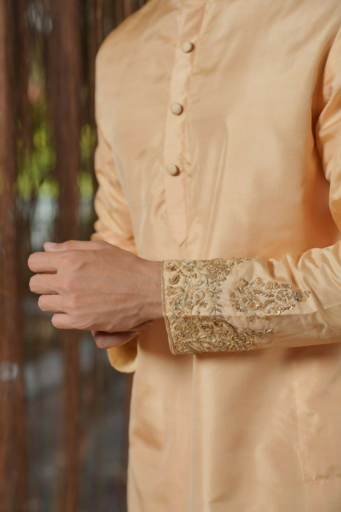 Tan Kanjivaram Hand Embroidered Pattu Set by Hilo Design