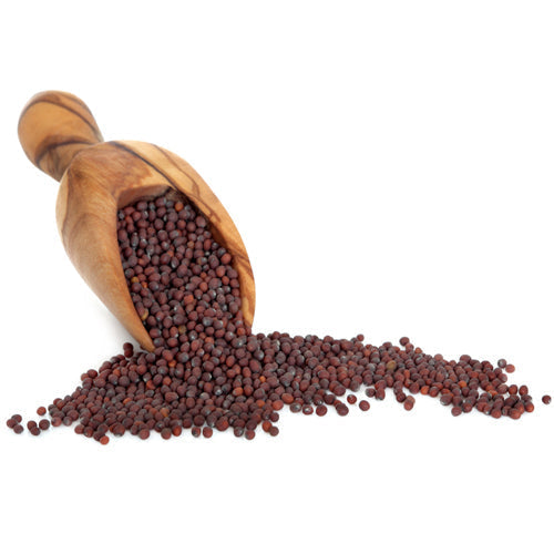 Yuvika Rai Seeds - Red Mustard Seeds