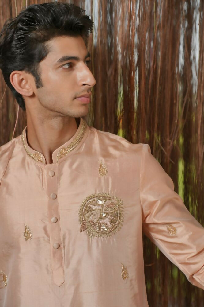 Dusky Pink Kanjivaram Machien Embroidered Pattu Set by Hilo Design