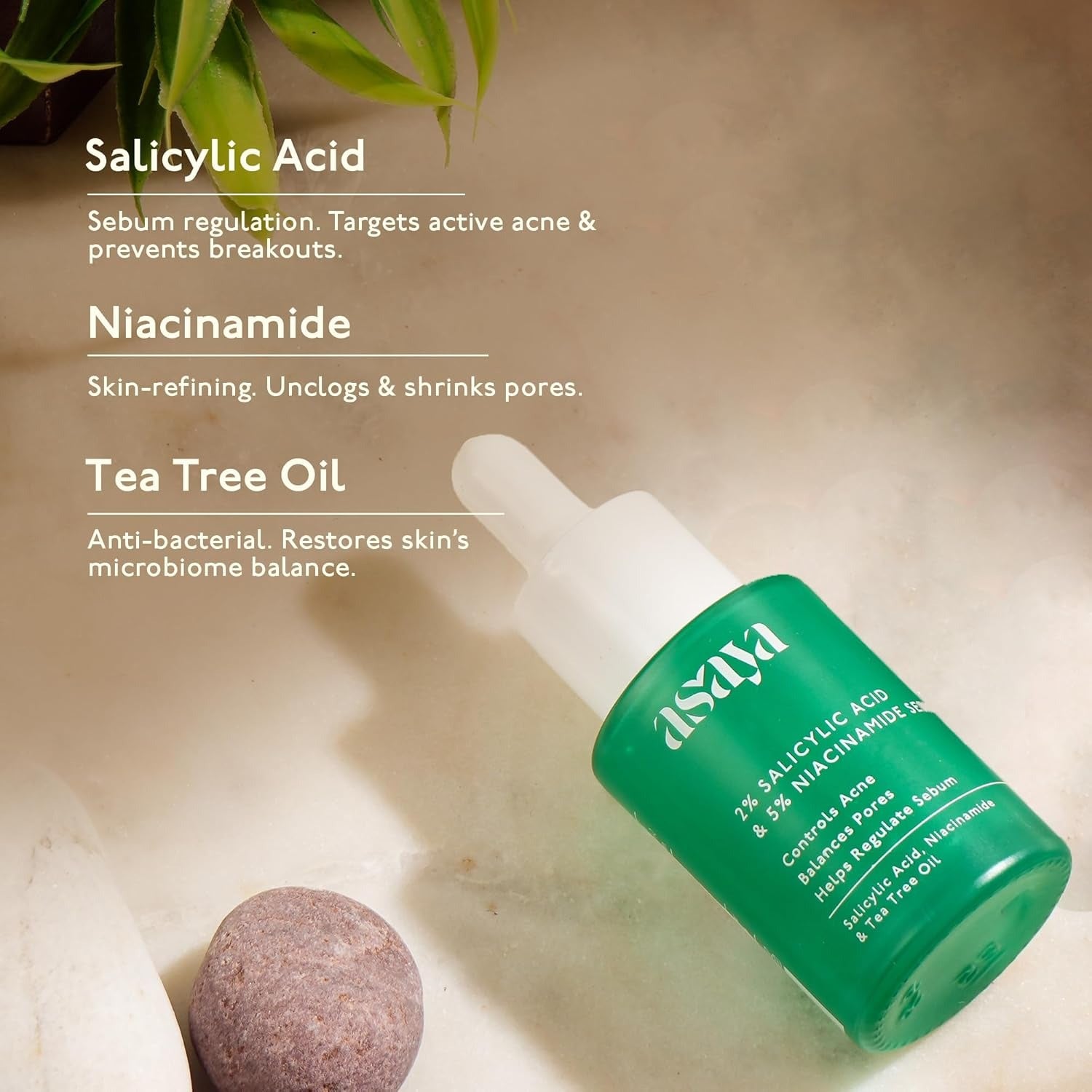 Asaya 2% Salicylic Acid And 5% Niacinamide & Tea Tree Oil Face Serum - 30 ml
