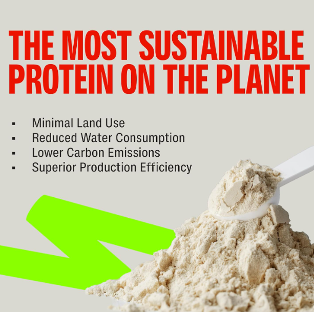 Superyou Pro Fermented Yeast Protein Isolate