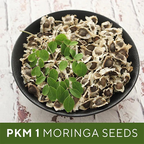 Grenera Moringa Seeds -  100 gms