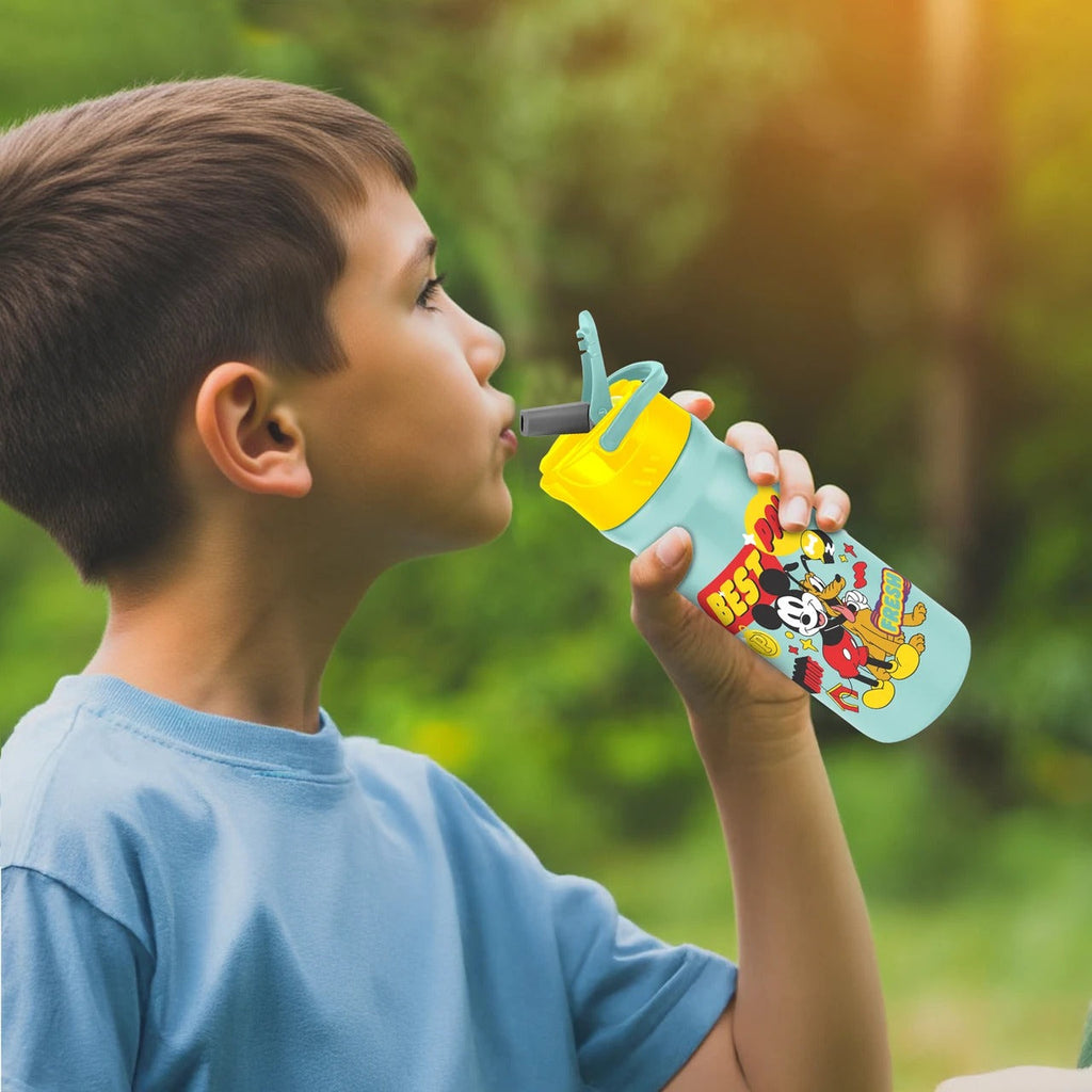 Milton Disney Max Bottle - 500 ml