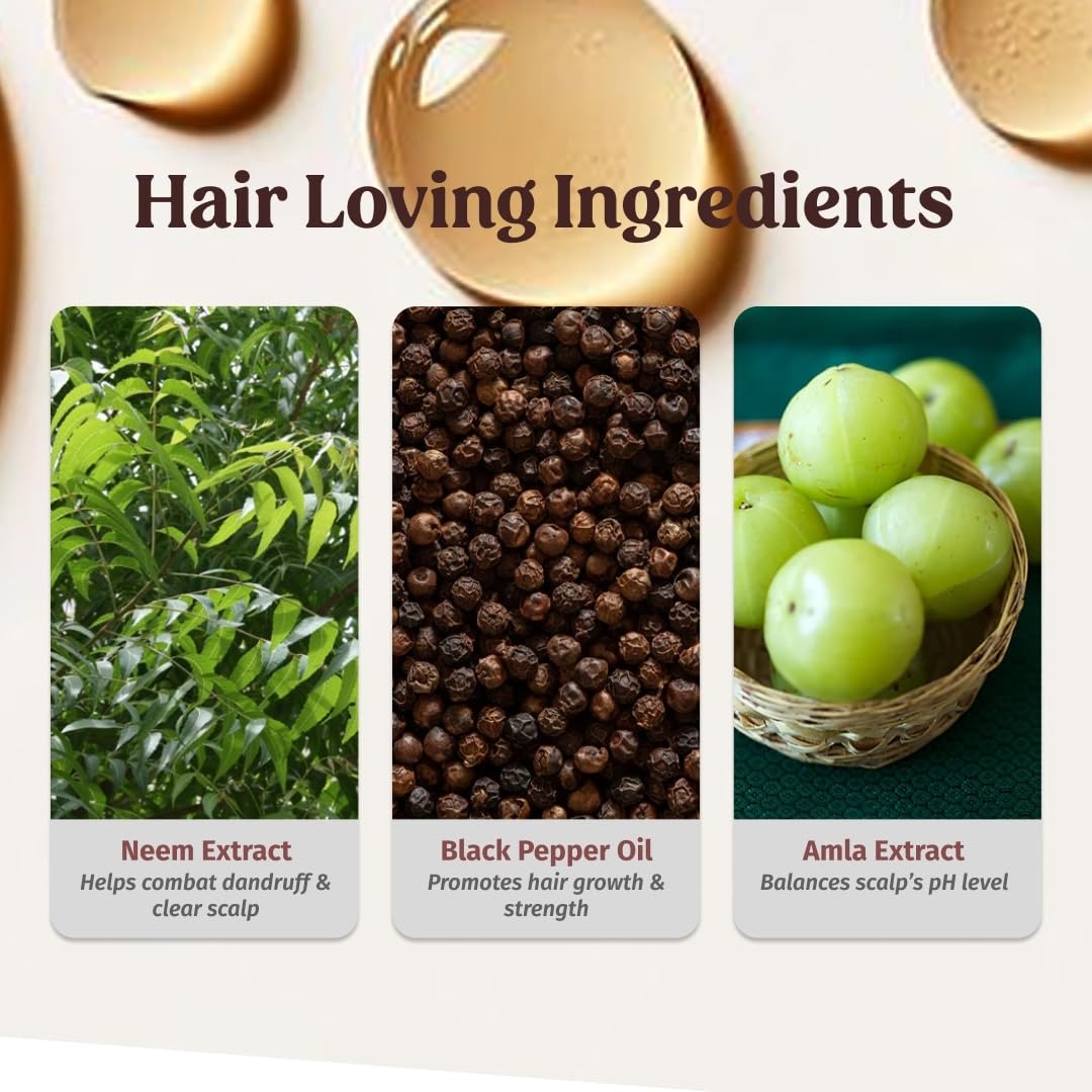 Vilvah Herbal Shampoo for Dandruff Control - 250 ml