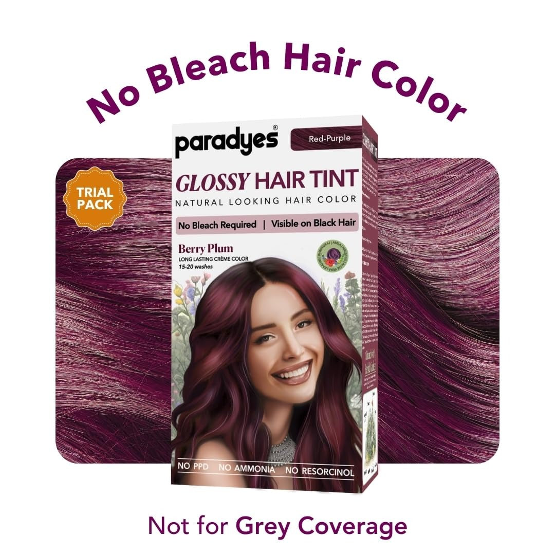Paradyes Mini Berry Plum Glossy Hair Tint - 60 gms