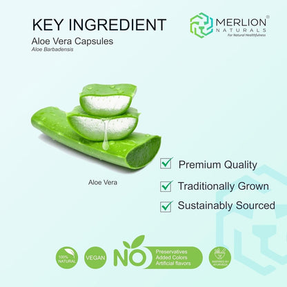 Merlion Naturals Aloe Vera Extract Tablets 100mg - 120 tabs
