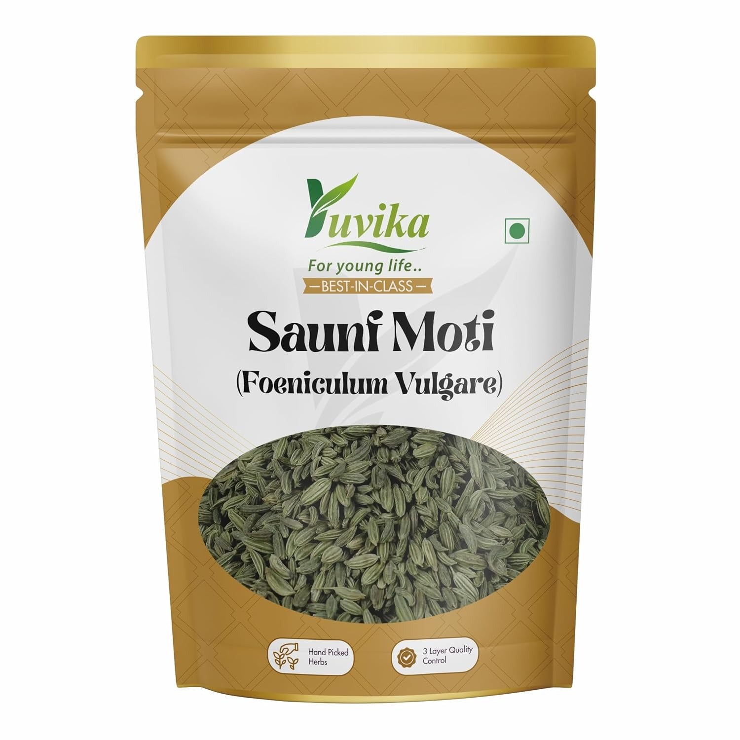 Yuvika Saunf Moti - Foeniculum Vulgare - Fennel Seed Big