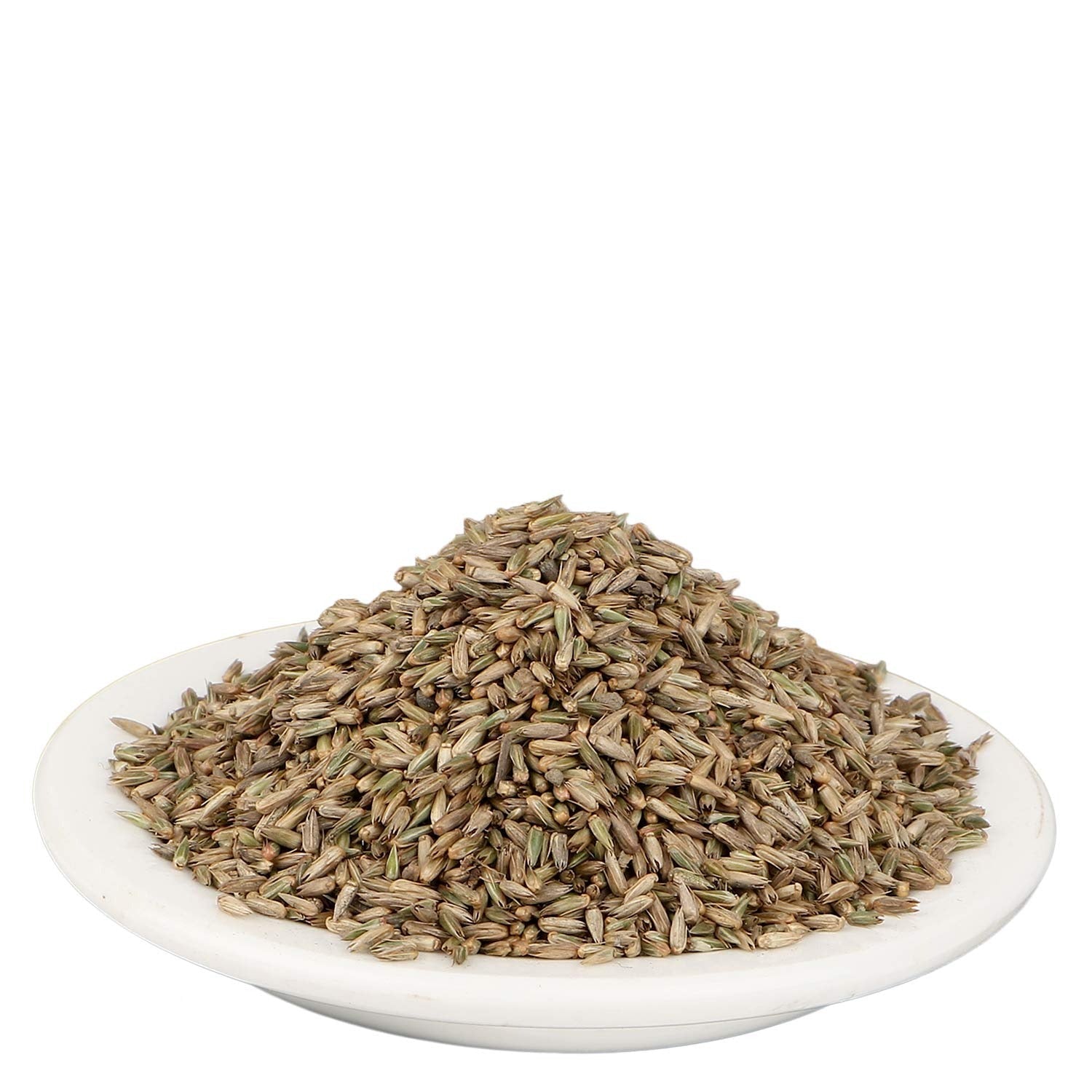 Yuvika Apamarg Seeds - Apoot Kanta - Uttareni Seeds - Latrija Beej - Chirchita ka Beej