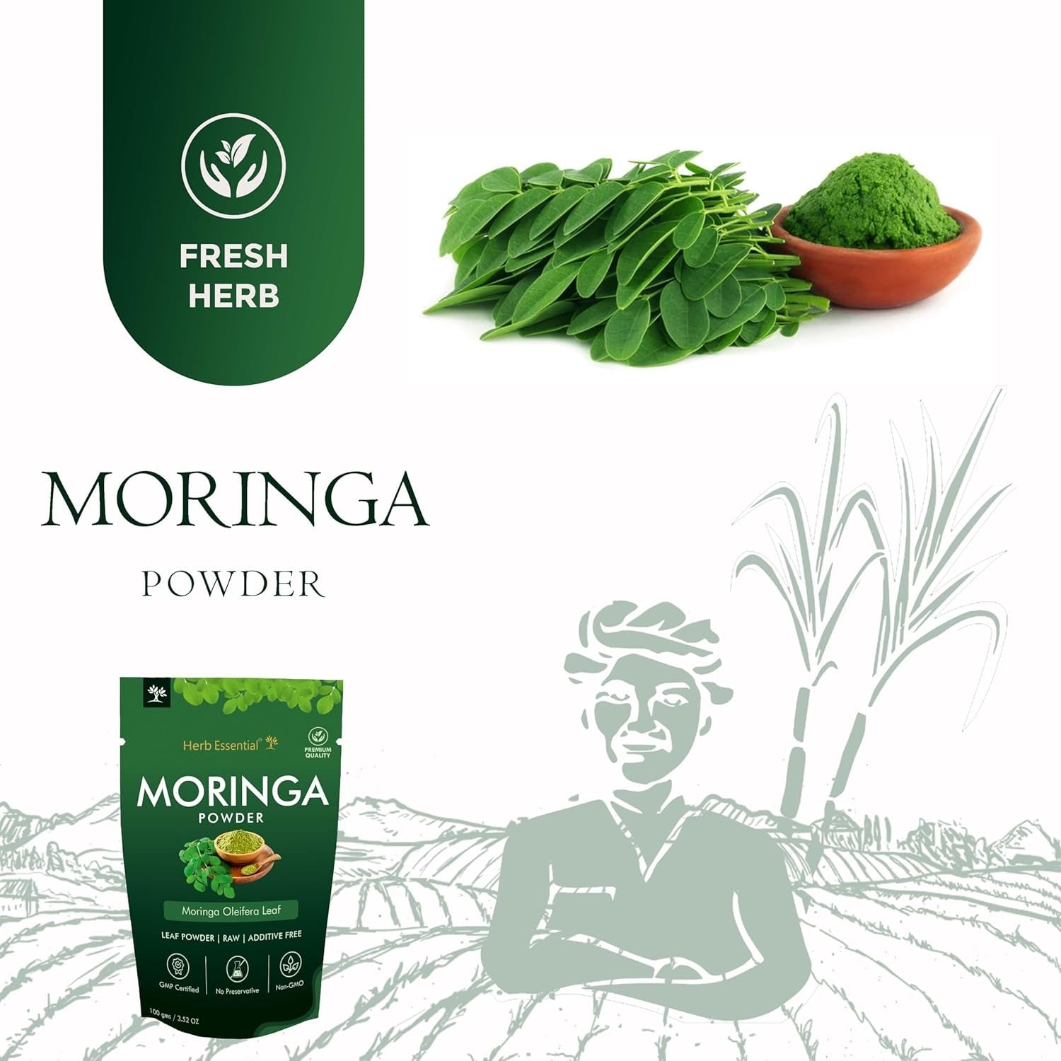 Herb Essential Moringa Powder - 100 gms