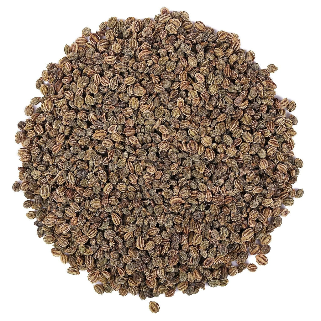 Yuvika Ajmod - Apium Graveolens - Celery Seeds