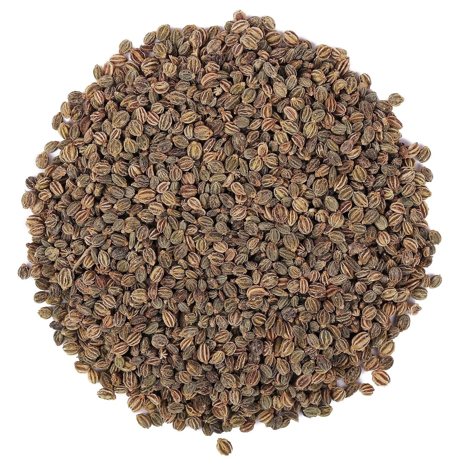 Yuvika Ajmod - Apium Graveolens - Celery Seeds