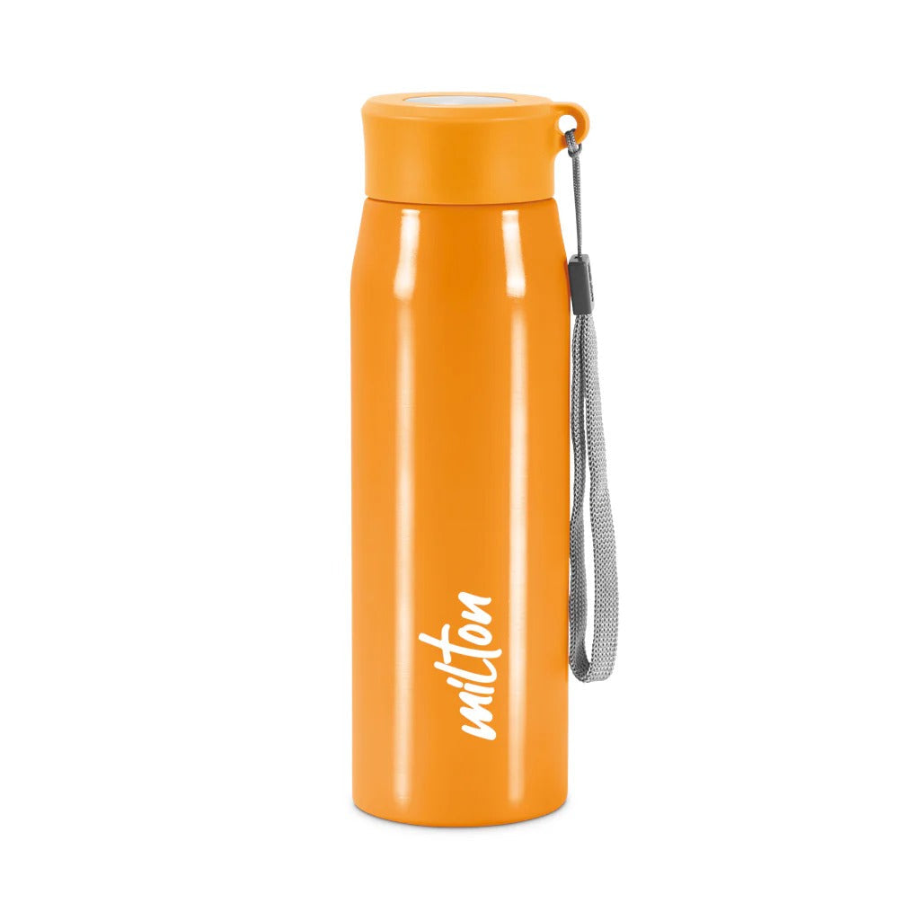 Milton Handy Stainless Steel Bottle