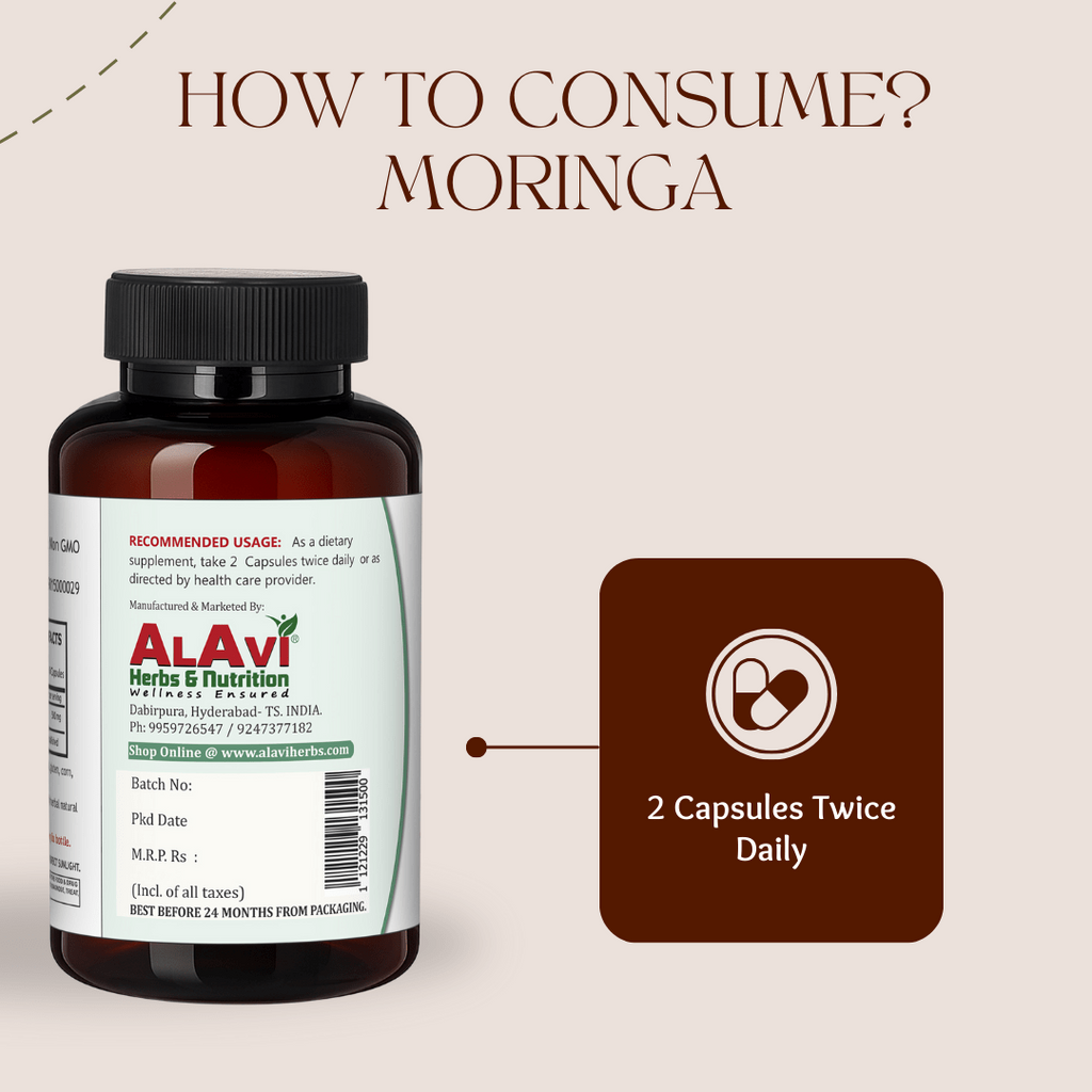 Alavi Moringa Oleifera 500 Mg - 60 Capsules