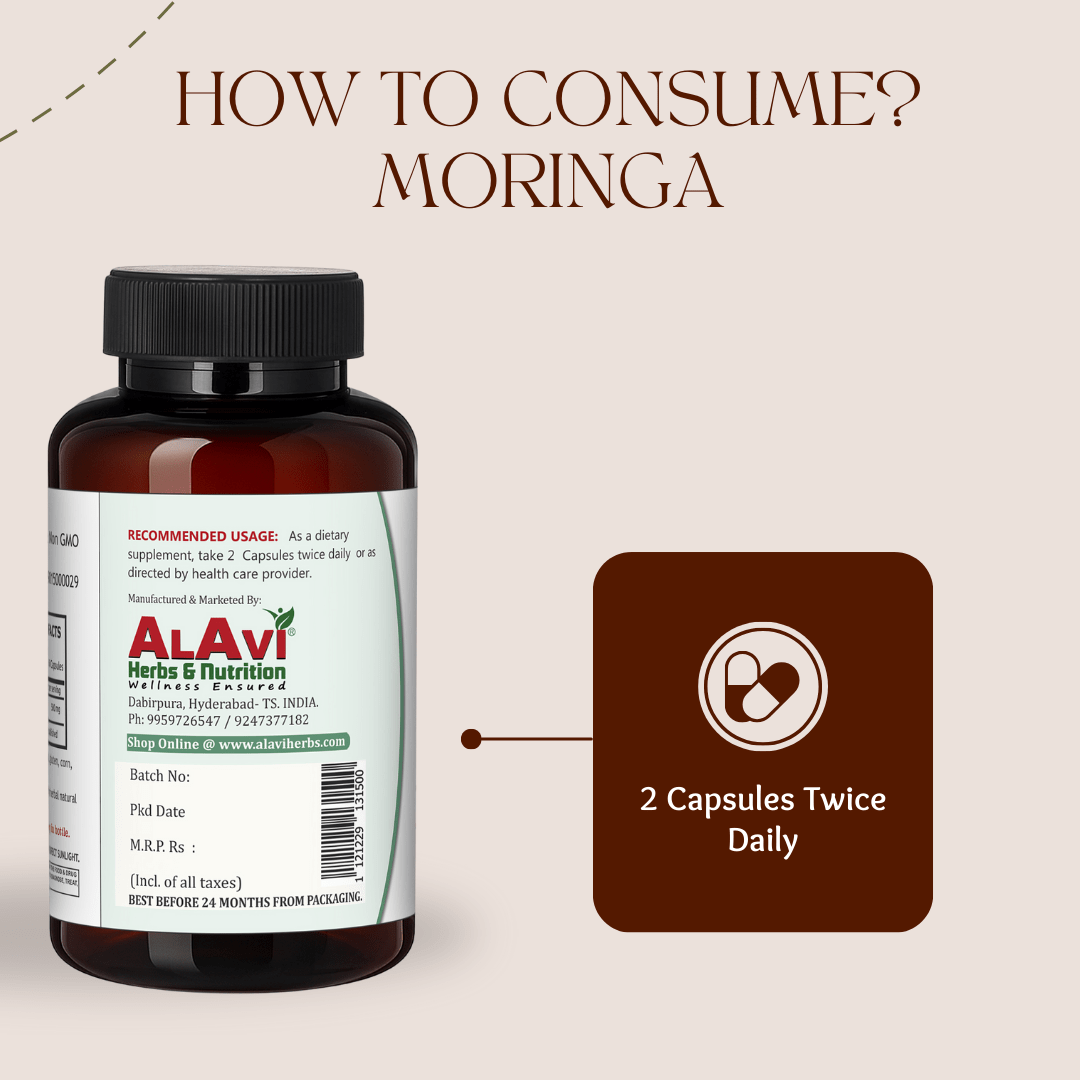 Alavi Moringa Oleifera 500 Mg - 60 Capsules