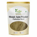 Yuvika Bhumi Amla Powder - Bhoomi Awla Powder- Phyllanthus Niruri - Fillanto Niruhi